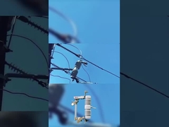 Fuse di alta qualità tagliato fuori 40,5 kv polimero o ceramica caduta fuori fuse tagliato